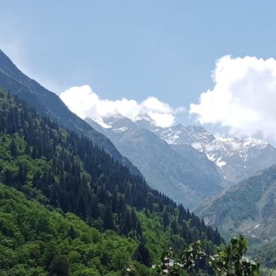 untitled design (20)